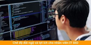 Chế độ đãi ngộ và lợi ích cho nhân viên IT SEO