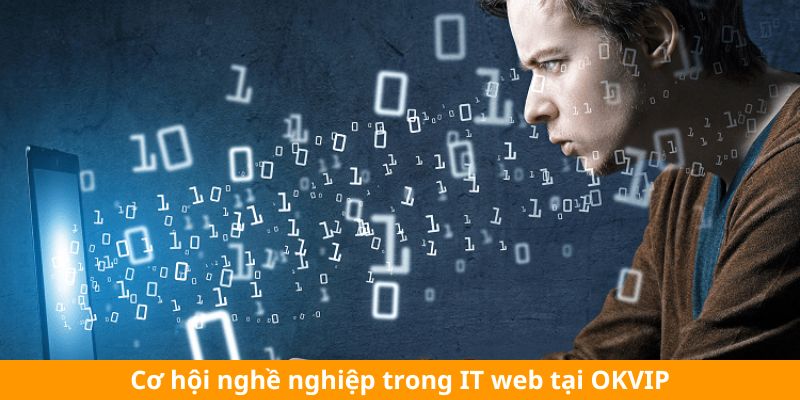 Cơ hội nghề nghiệp trong IT web tại OKVIP