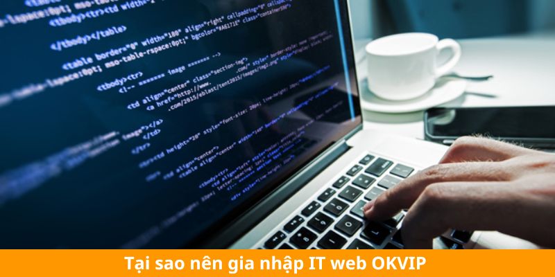 Tại sao nên gia nhập IT web OKVIP 