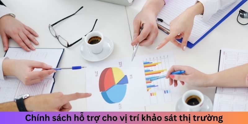 Chính sách hỗ trợ cho vị trí khảo sát thị trường