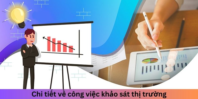 Chi tiết về công việc khảo sát thị trường