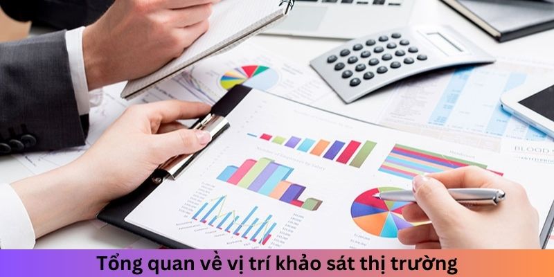 Tổng quan về vị trí khảo sát thị trường