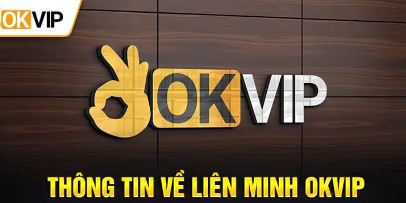 Tổng quan các thông tin giới thiệu về liên minh OKVIP