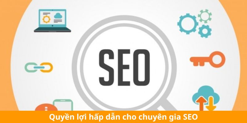 Quyền lợi hấp dẫn cho chuyên gia SEO