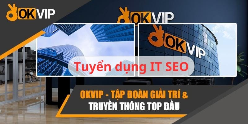 IT SEO Tuyển Dụng - Mô Tả Công Việc Và Mức Lương 2024