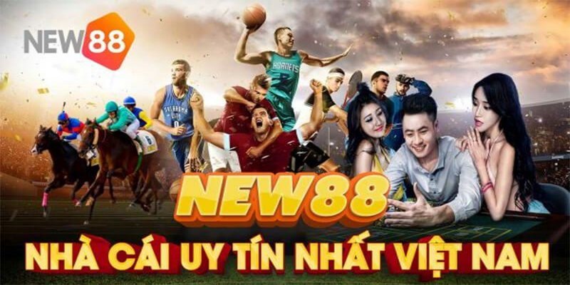 Thông tin tổng quan về NEW88