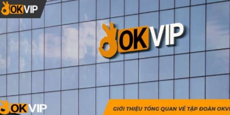 OKVIP là  lớn có môi trường năng động