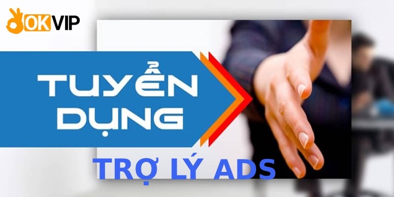 Vị trí trợ lý ADS của OKVIP tuyển dụng mới nhất