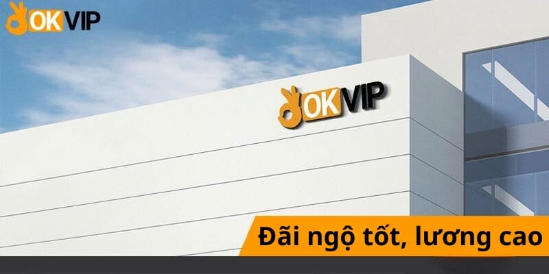 OKVIP sẵn sàng trả lương cao cho vị trí IT SEO 