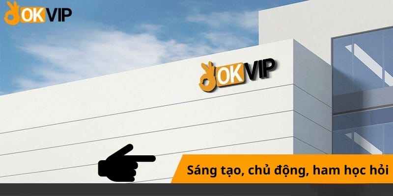 Yêu cầu đối với nhân viên SEO Web OKVIP 